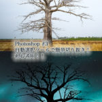 Photoshop #3　自動選択ツールで簡単切り抜き！初心者用！！