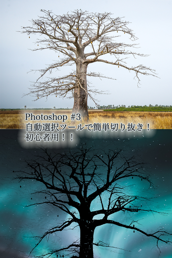 Photoshop #3　自動選択ツールで簡単切り抜き！初心者用！！